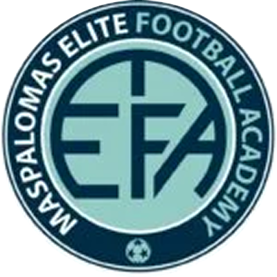 Maspalomas Elite Football Academy Logo