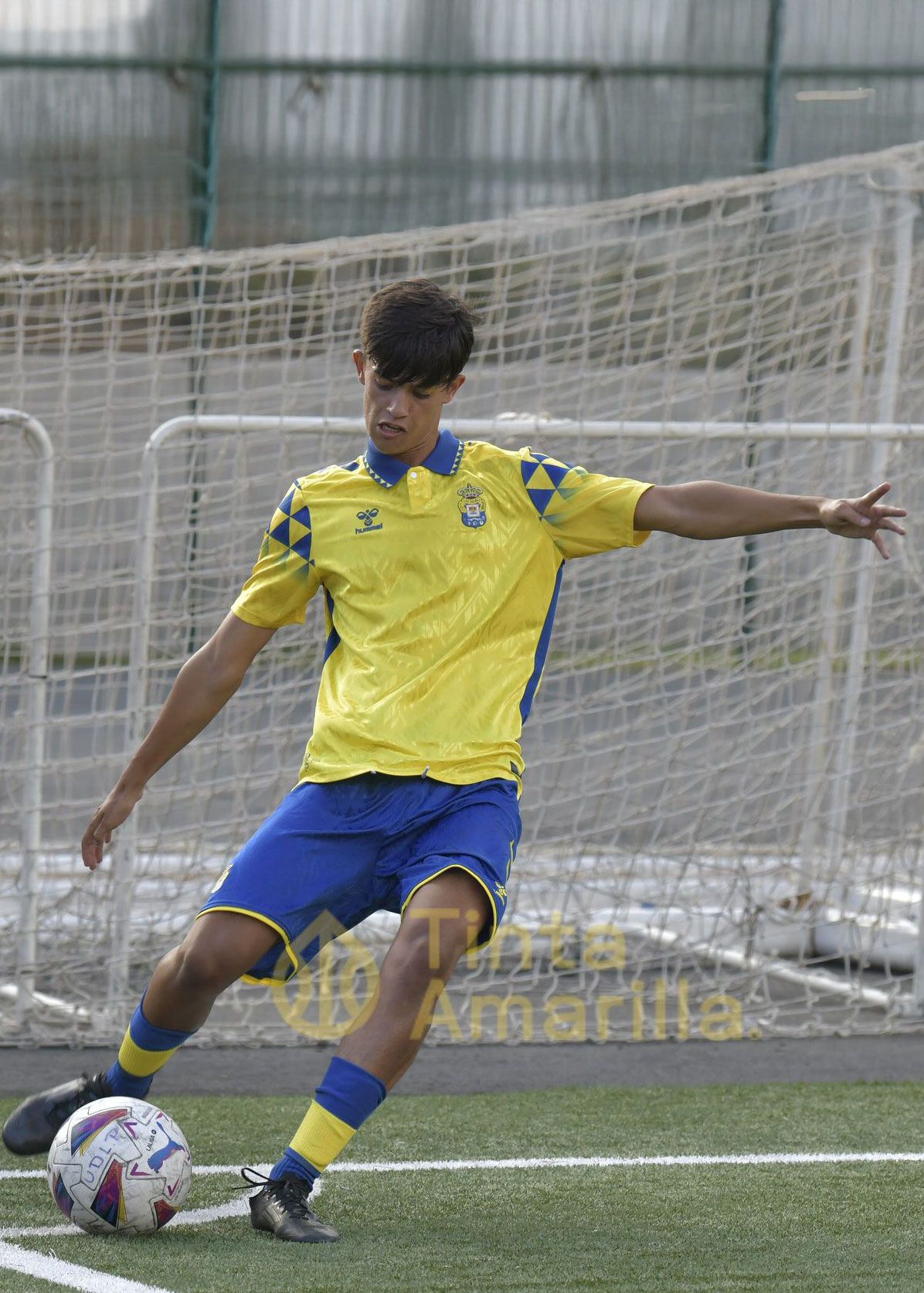 player image
